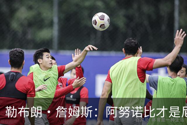 勒布朗·詹姆斯：阿努诺比才是尼克斯夺冠的“无名英雄”