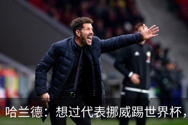 哈兰德：想过代表挪威踢世界杯，但从未奢望过能击败巴西队