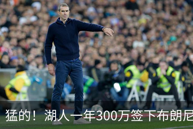 猛的！湖人一年300万签下布朗尼大哥！