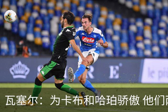 瓦塞尔：为卡布和哈珀骄傲 他们两个都有着不可限量的未来