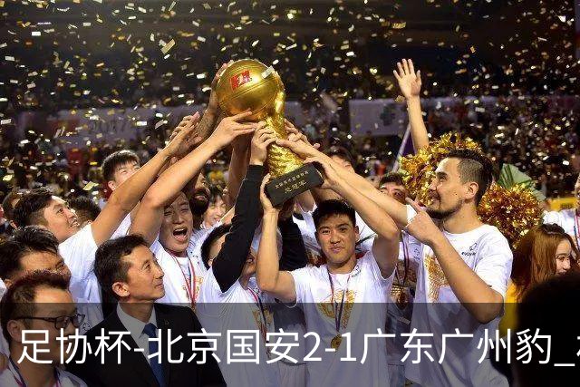 足协杯-北京国安2-1广东广州豹 林良铭梅开二度+中柱+造点+失点